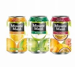 JUS MINUTE MAID 33CL